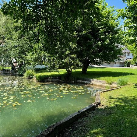 Les Lodges du Lac Saint-Alban-de-Montbel Extérieur photo